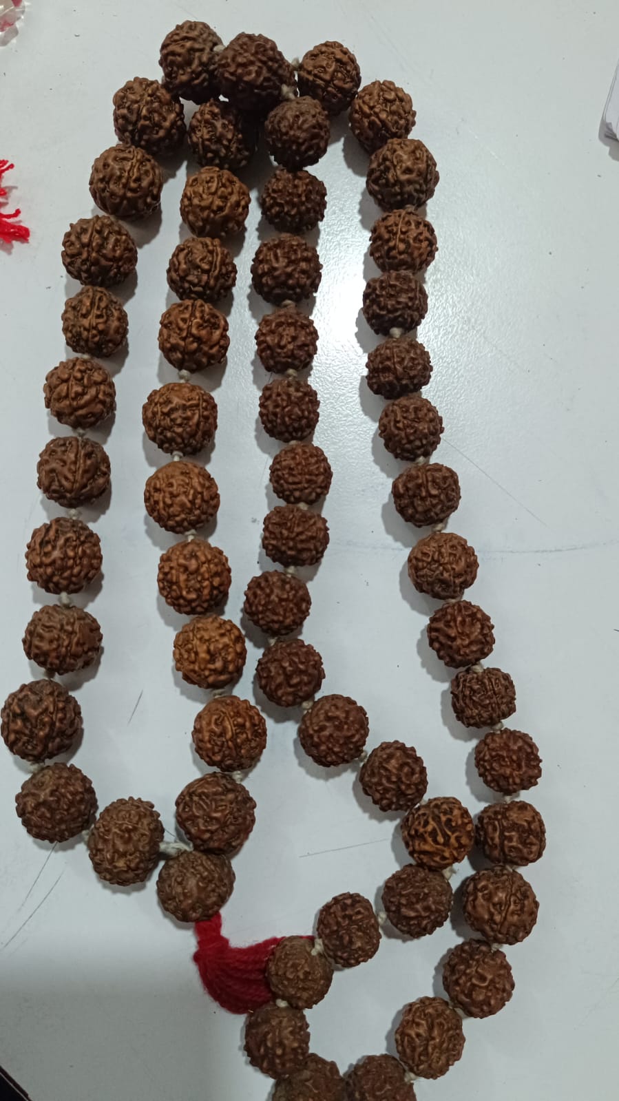 १०८ रुद्राक्षको  माला Rudrakxa Mala