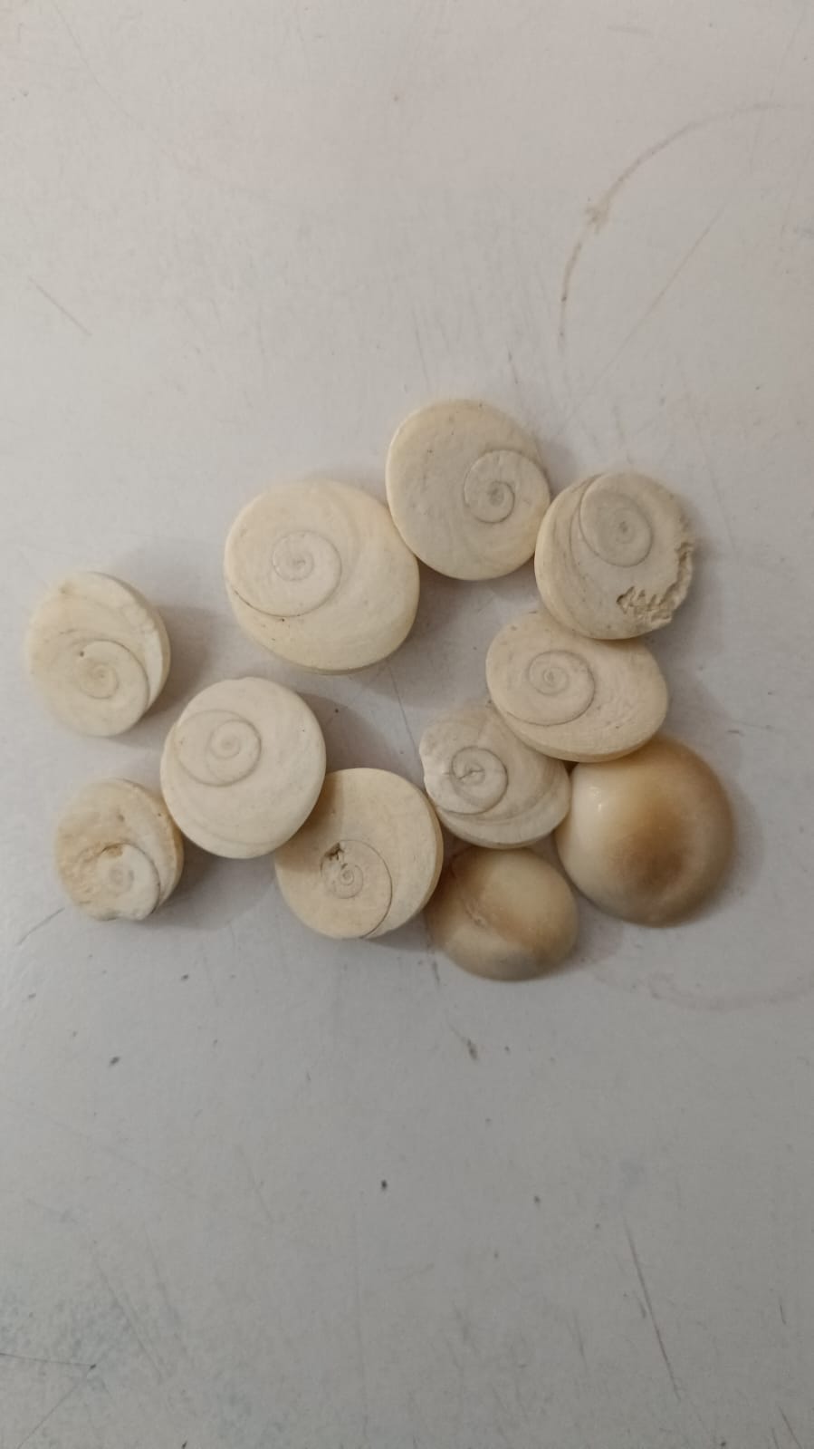 Gomati Chakra