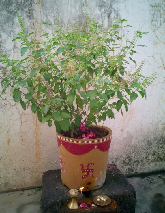 हरिशयनी एकादशी Harisayani Yekadasi Medium