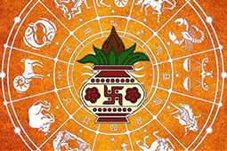 नाडी दोष शान्ति Nadi Dosh Shanti-Large Package
